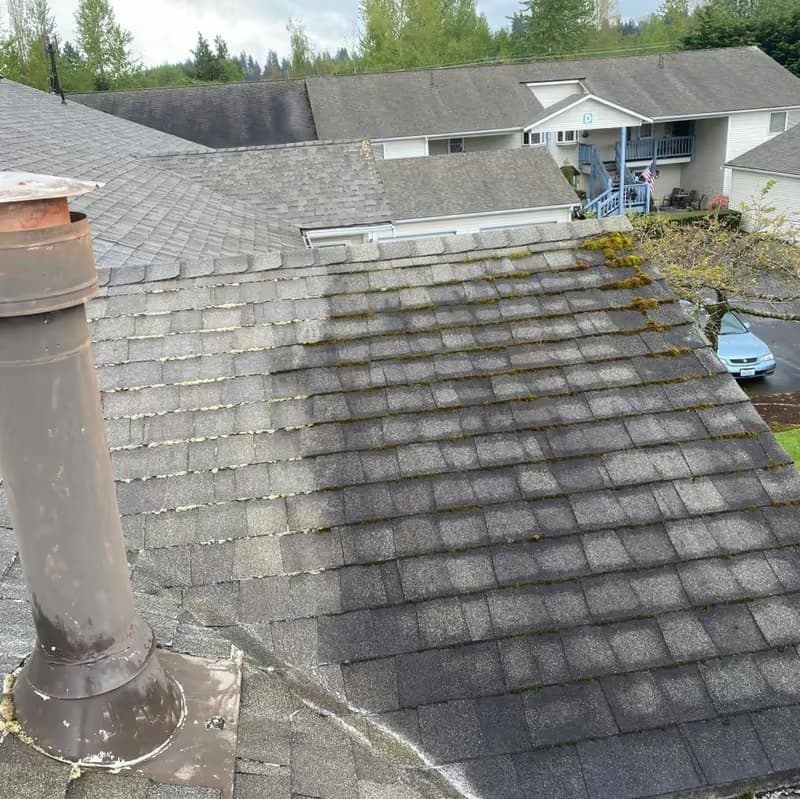 Shingle roof mid-clean — washed rows against dark, mossy buildup in one frame
